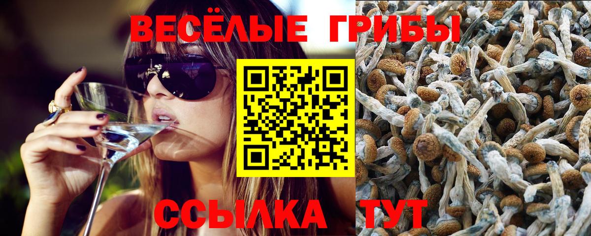 Галлюциногенные грибы GOLDEN TEACHER Лангепас