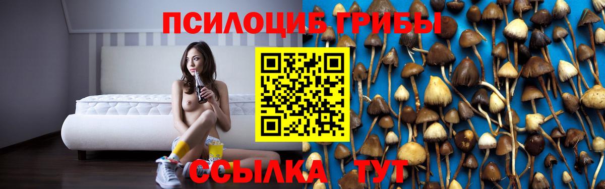 Лангепас  Псилоцибиновые грибы мицелий  Вход с VPN 